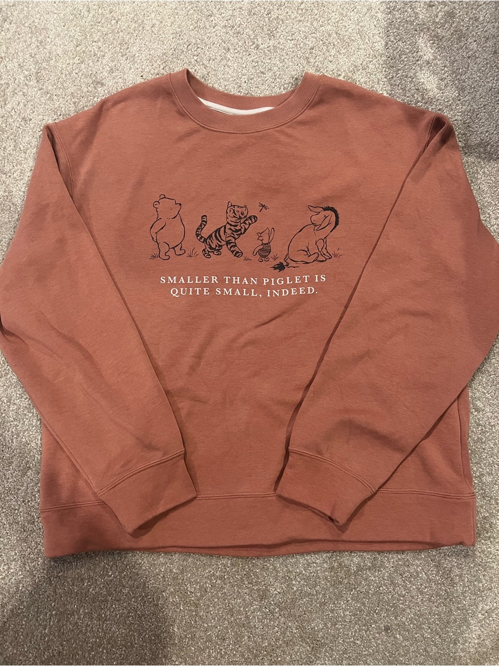 Uniqlo Rust Brown Winnie the Pooh Graphic Crewneck Sweater
